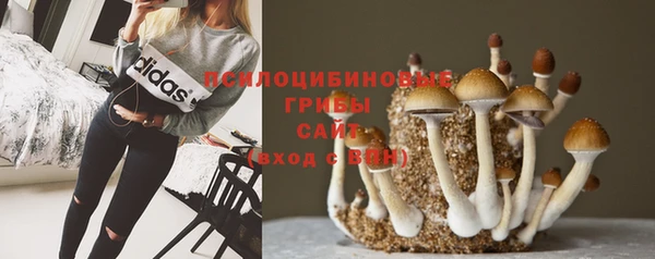 соль ск Лихославль