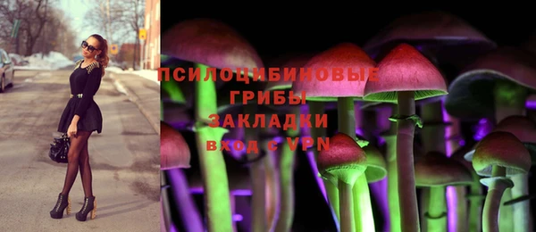 дмт Липки