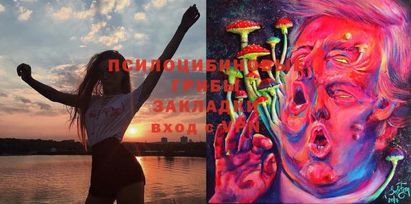 мдма Ладушкин